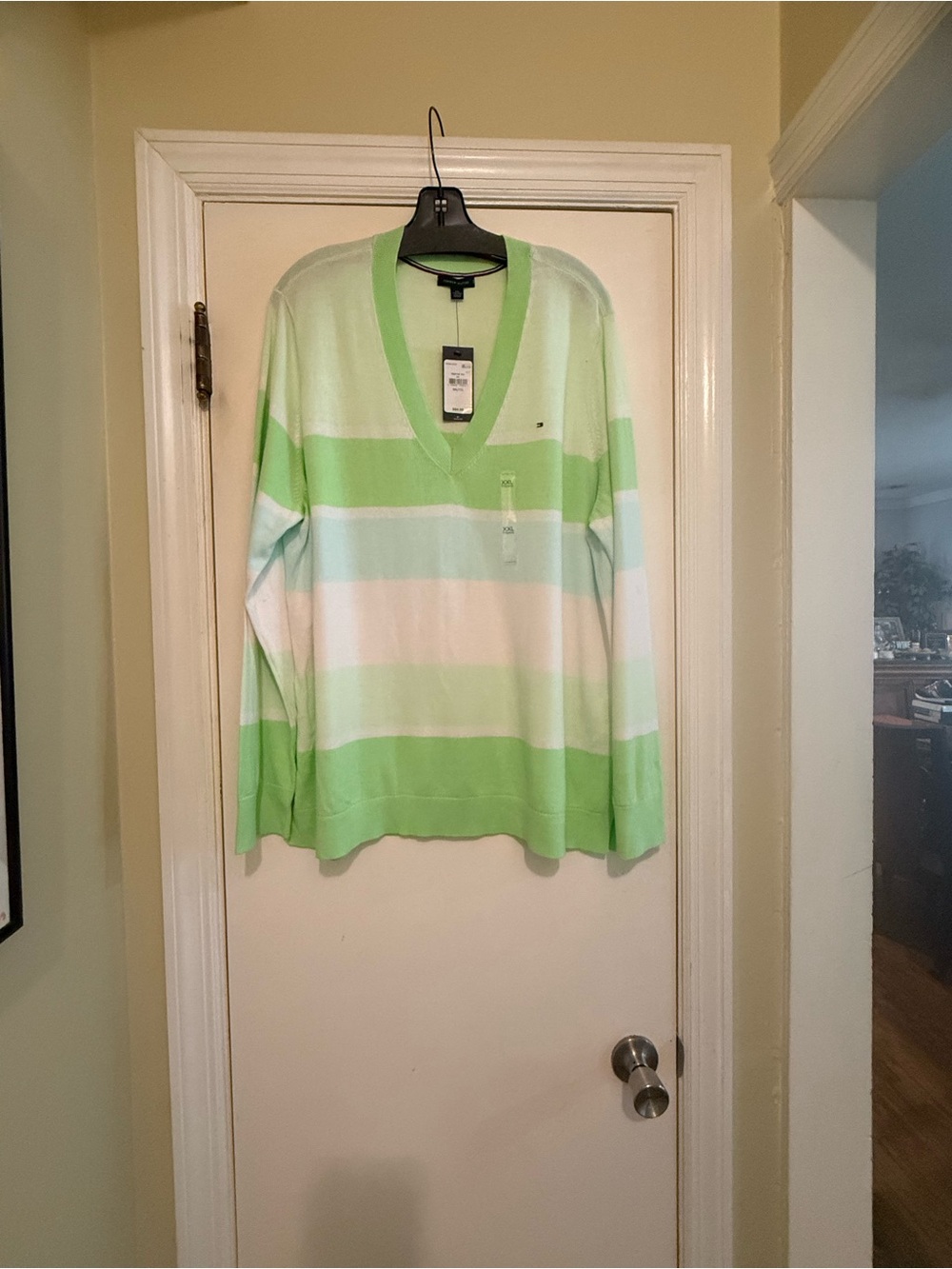 Tommy Hilfiger Men’s Light Green & White Striped V-Neck Sweater